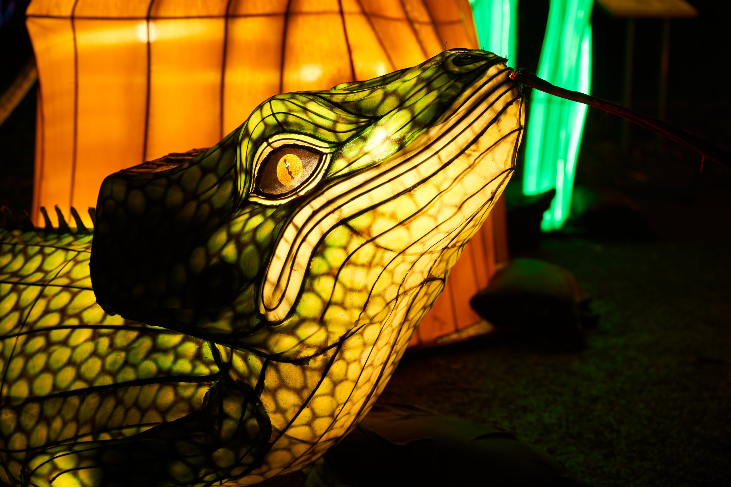 2024 01 03 Köln Zoo China Lights 1237